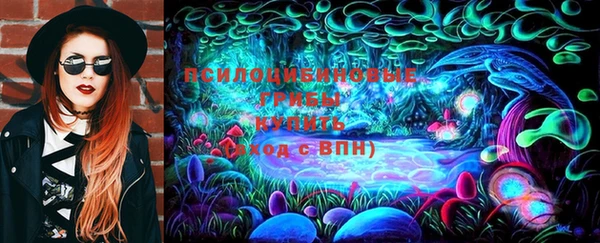 таблы Богородск