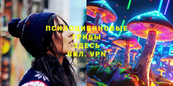 винт Богданович