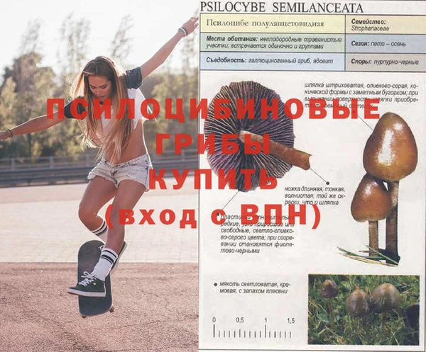 герыч Богородицк