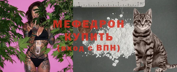 винт Богданович