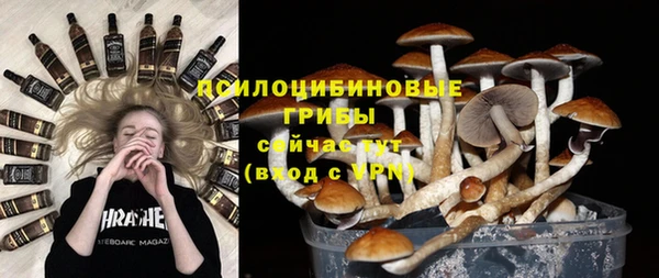 винт Богданович