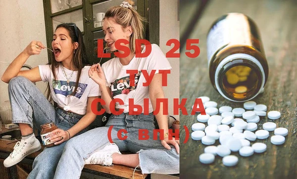 винт Богданович