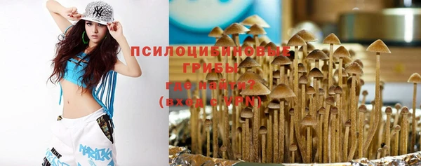 винт Богданович